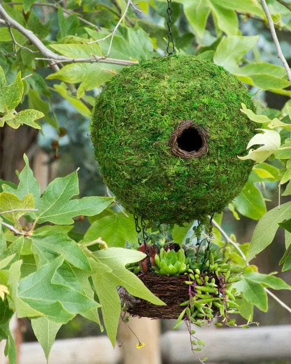 Air Balloon Moss Birdhouse