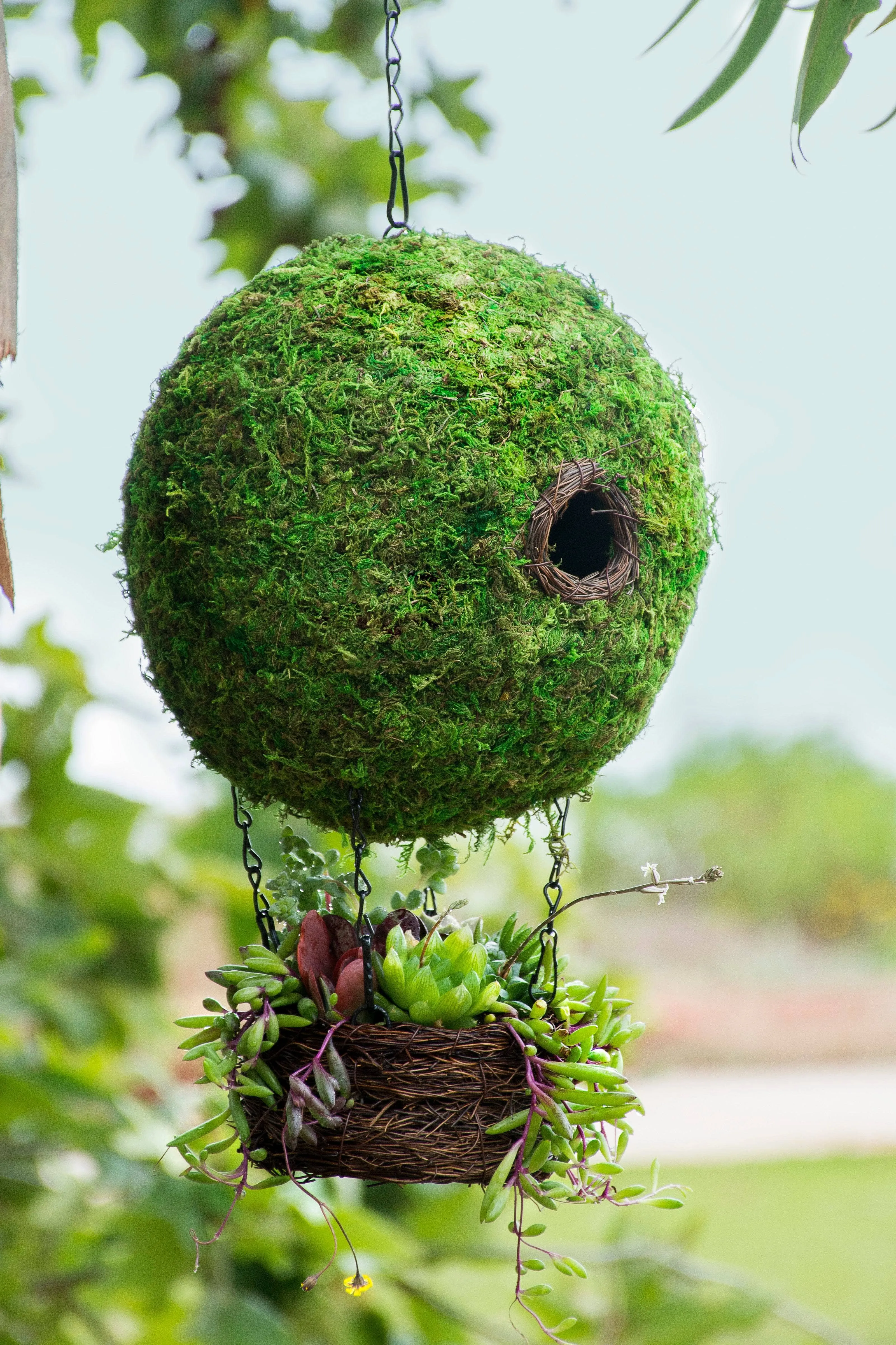 Air Balloon Moss Birdhouse