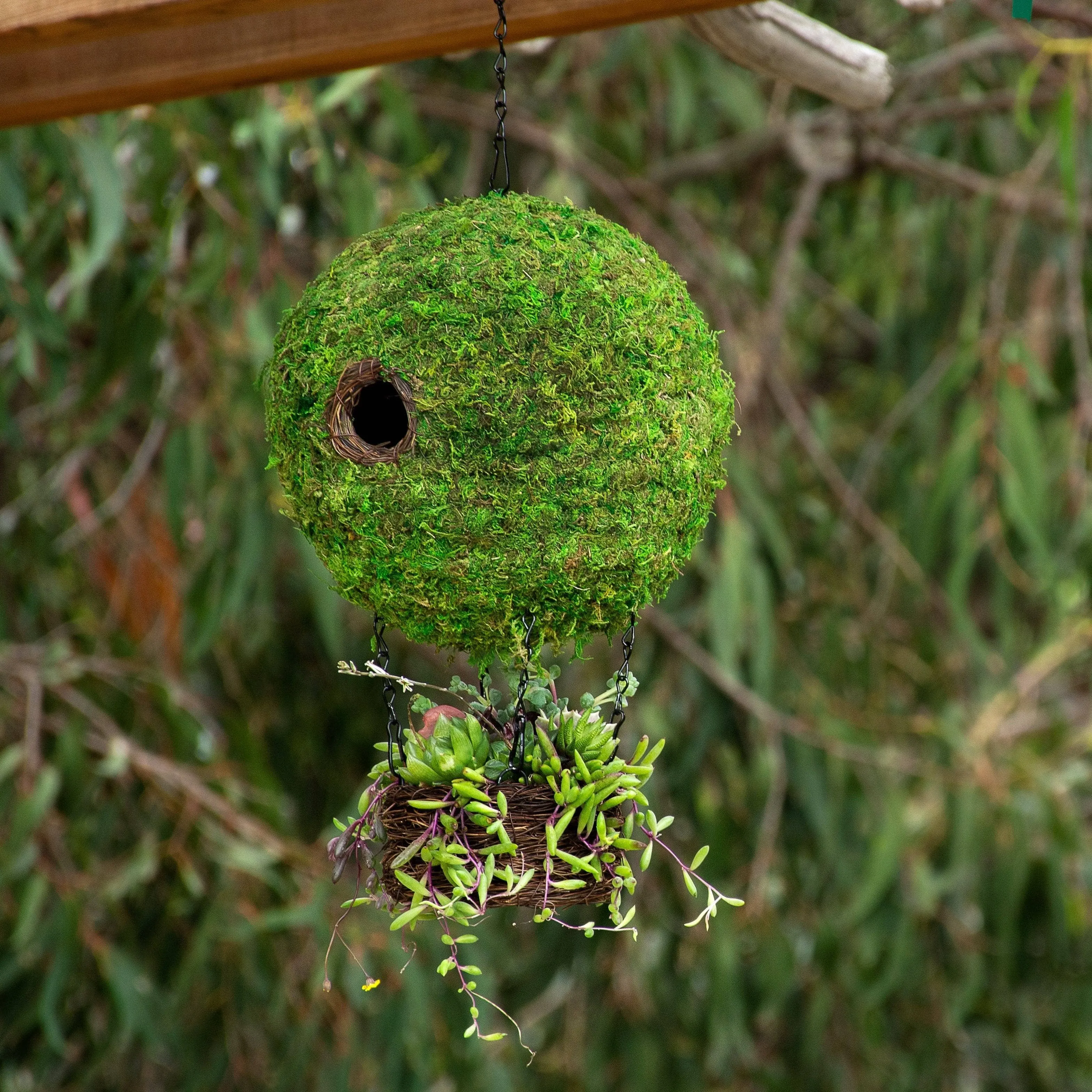 Air Balloon Moss Birdhouse