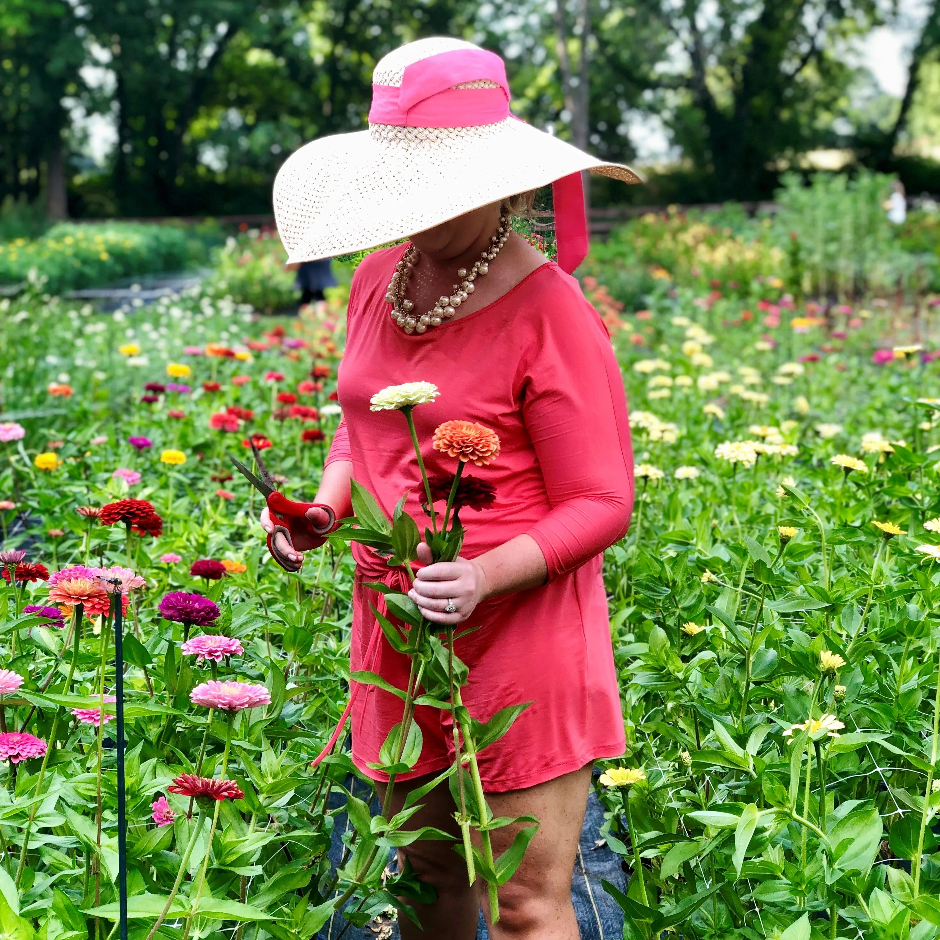 Bloom Stroll and Bouquet Workshop