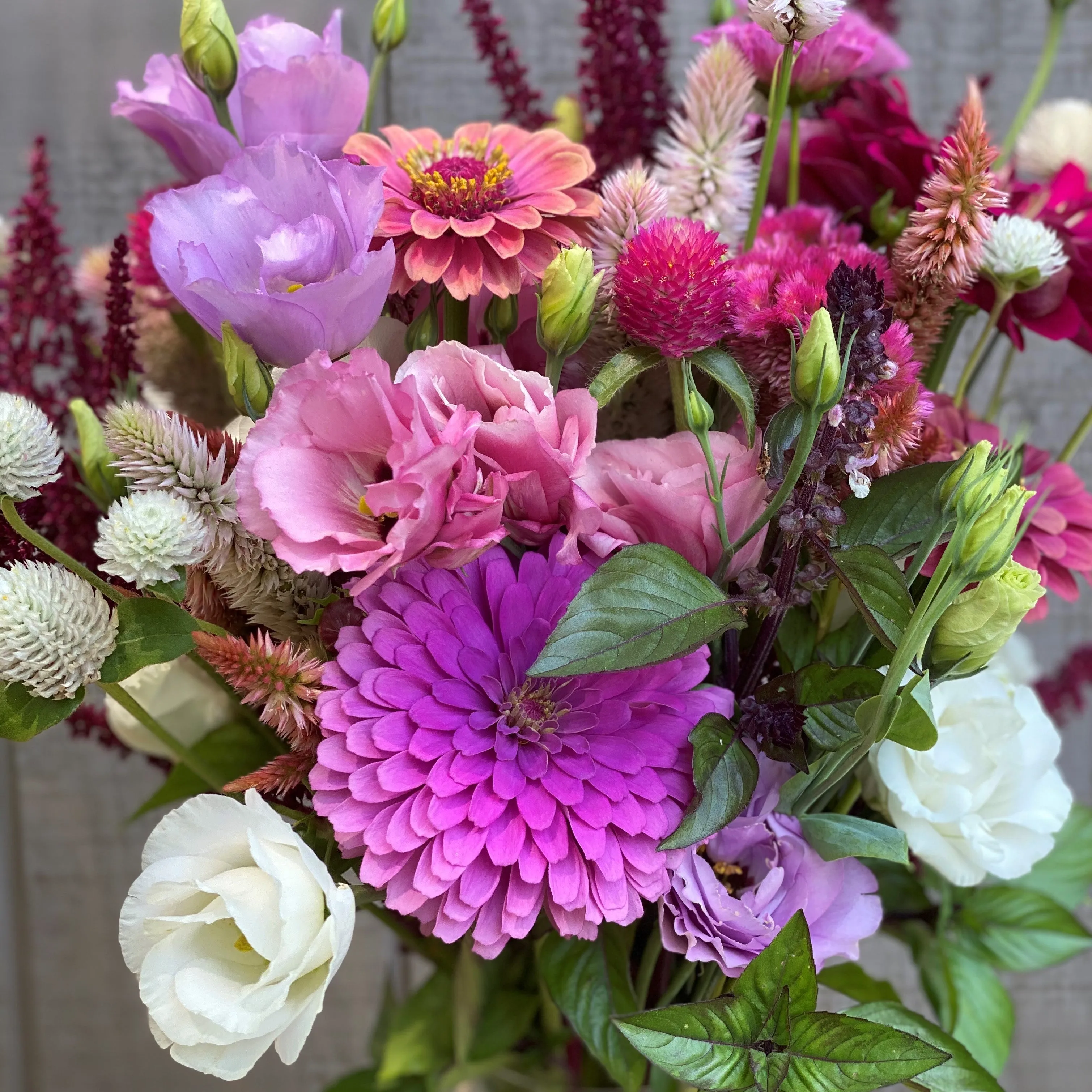 Bloom Stroll and Bouquet Workshop