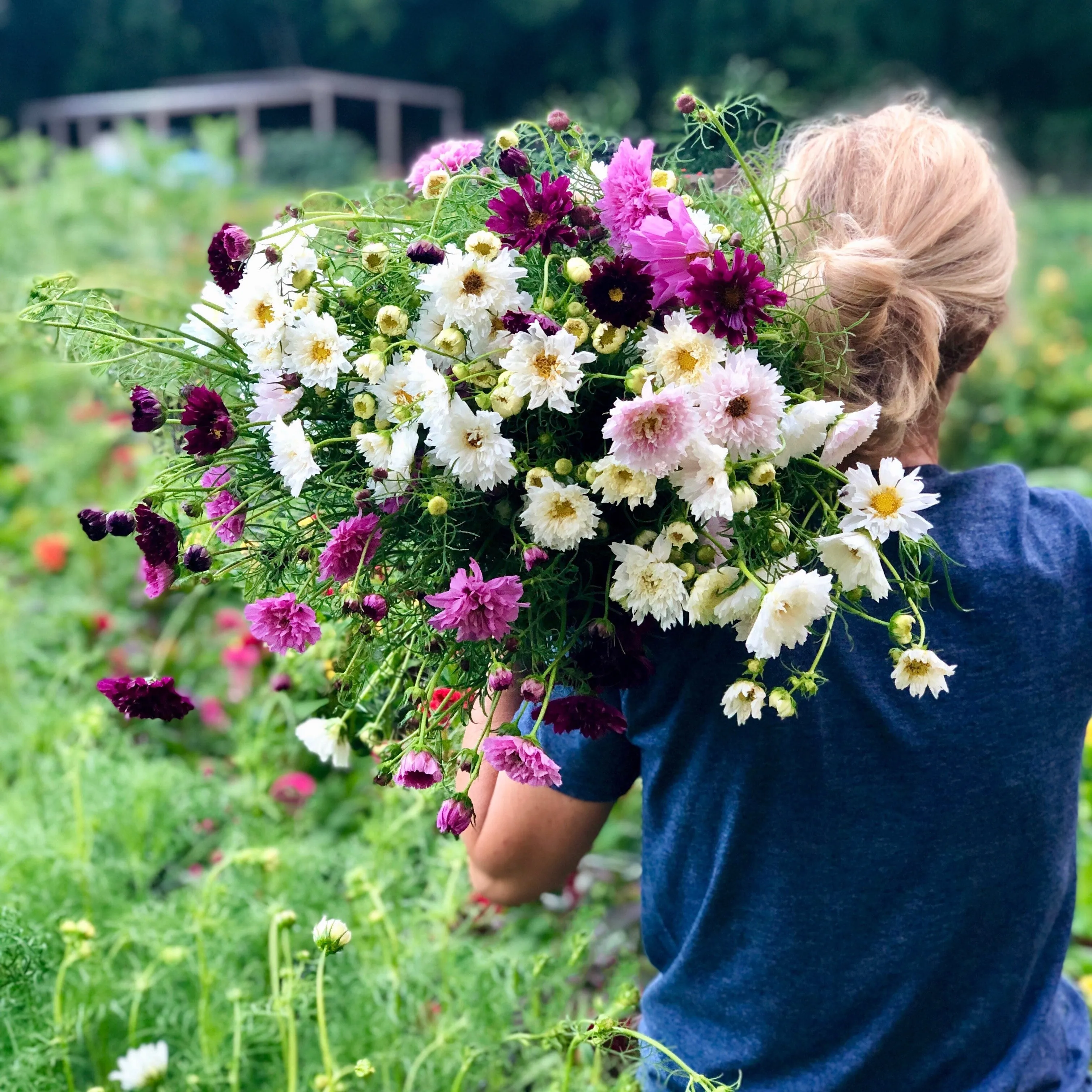 Bloom Stroll and Bouquet Workshop