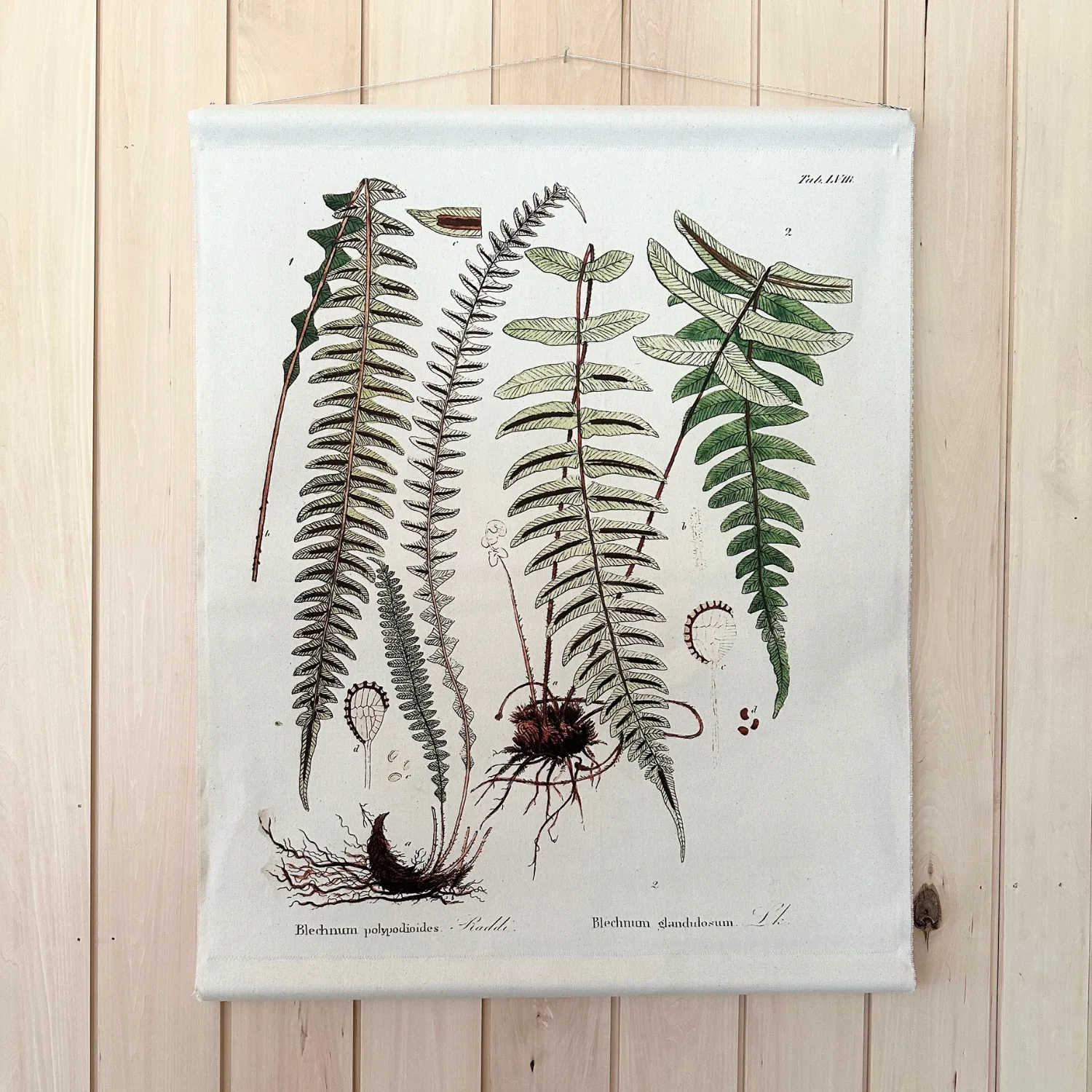 Canvas Wall Hanging - Hammock Fern