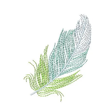 Colorful Feathers [4x4] 11502 Machine Embroidery Designs