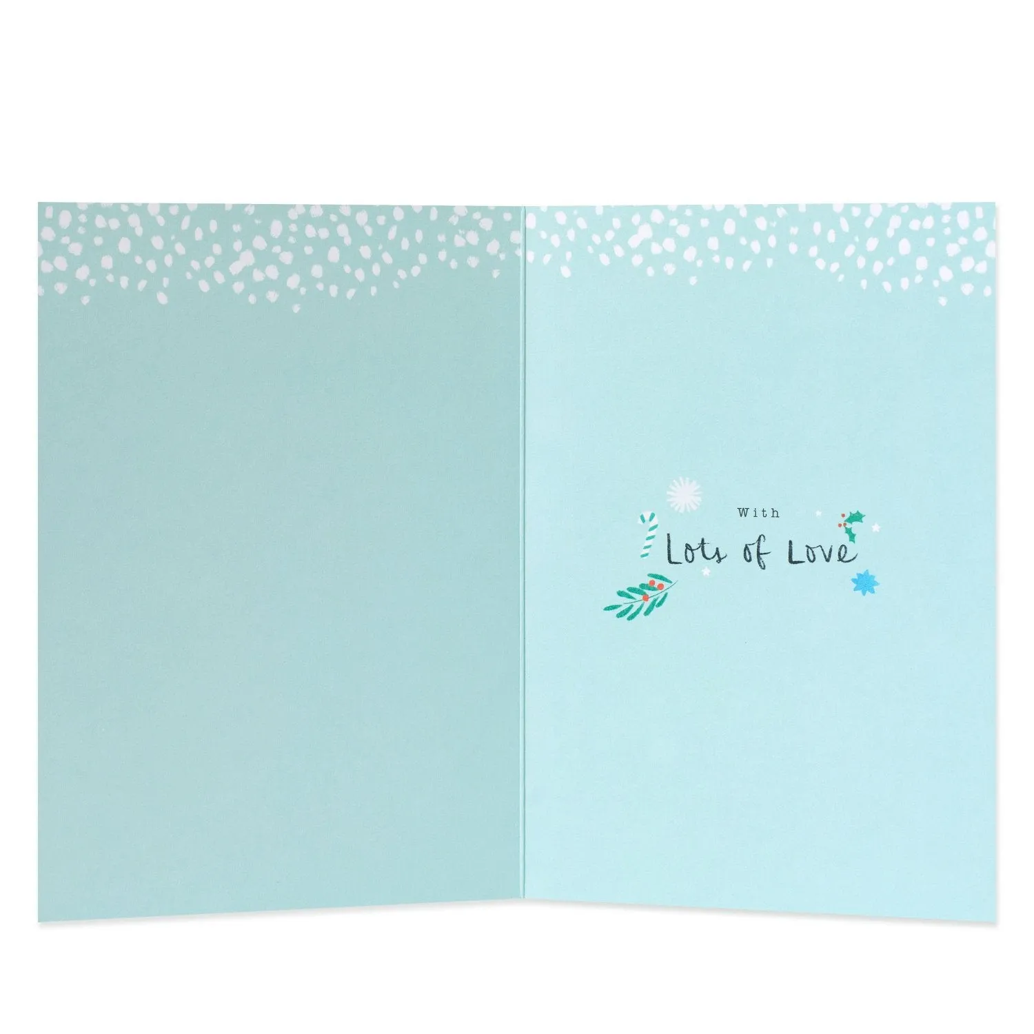 Hallmark Christmas Card For Grandparents - With Love