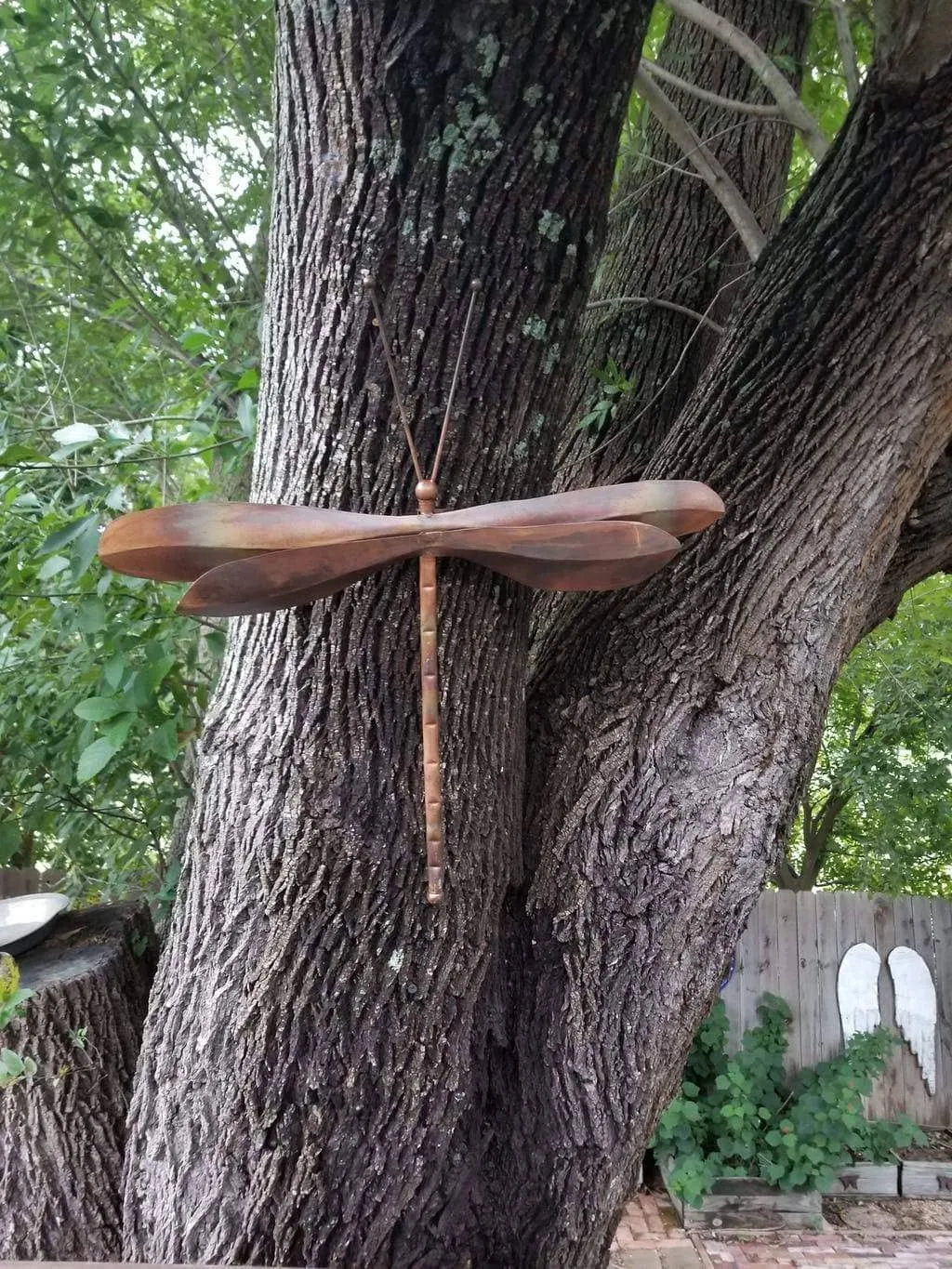 Hanging Dragonfly