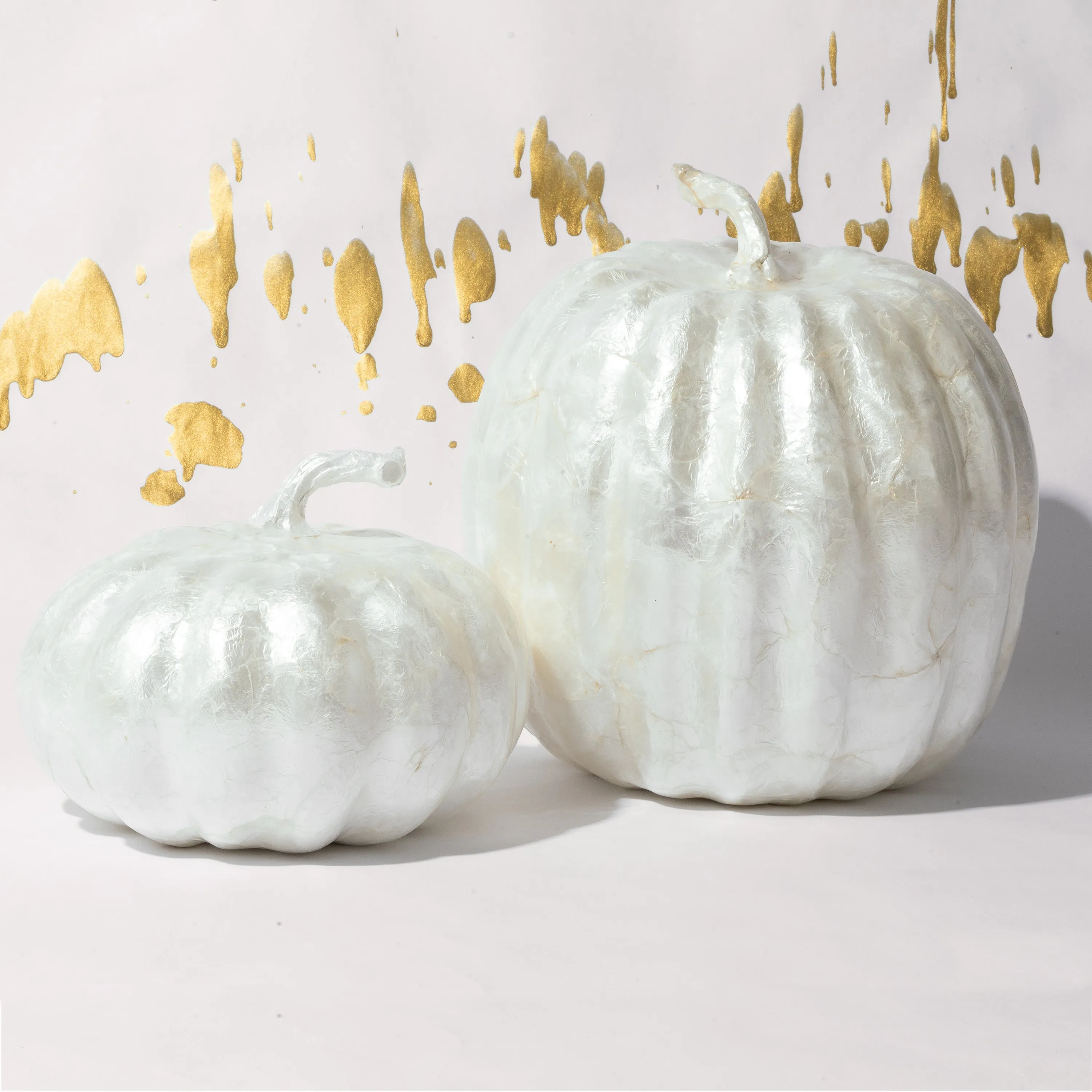 Large capiz pumpkin, pearl