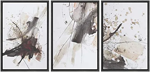 NWT Framed Wall Art Print Set Watercolor Explosion Variety Abstract Shapes Illustrations Modern Art Bohemian Colorful Pastel for Living Room, Bedroom, Office - 24"x36"x3 Black