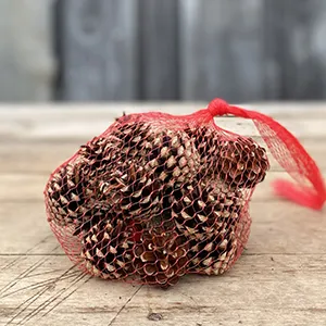 Pine Cones