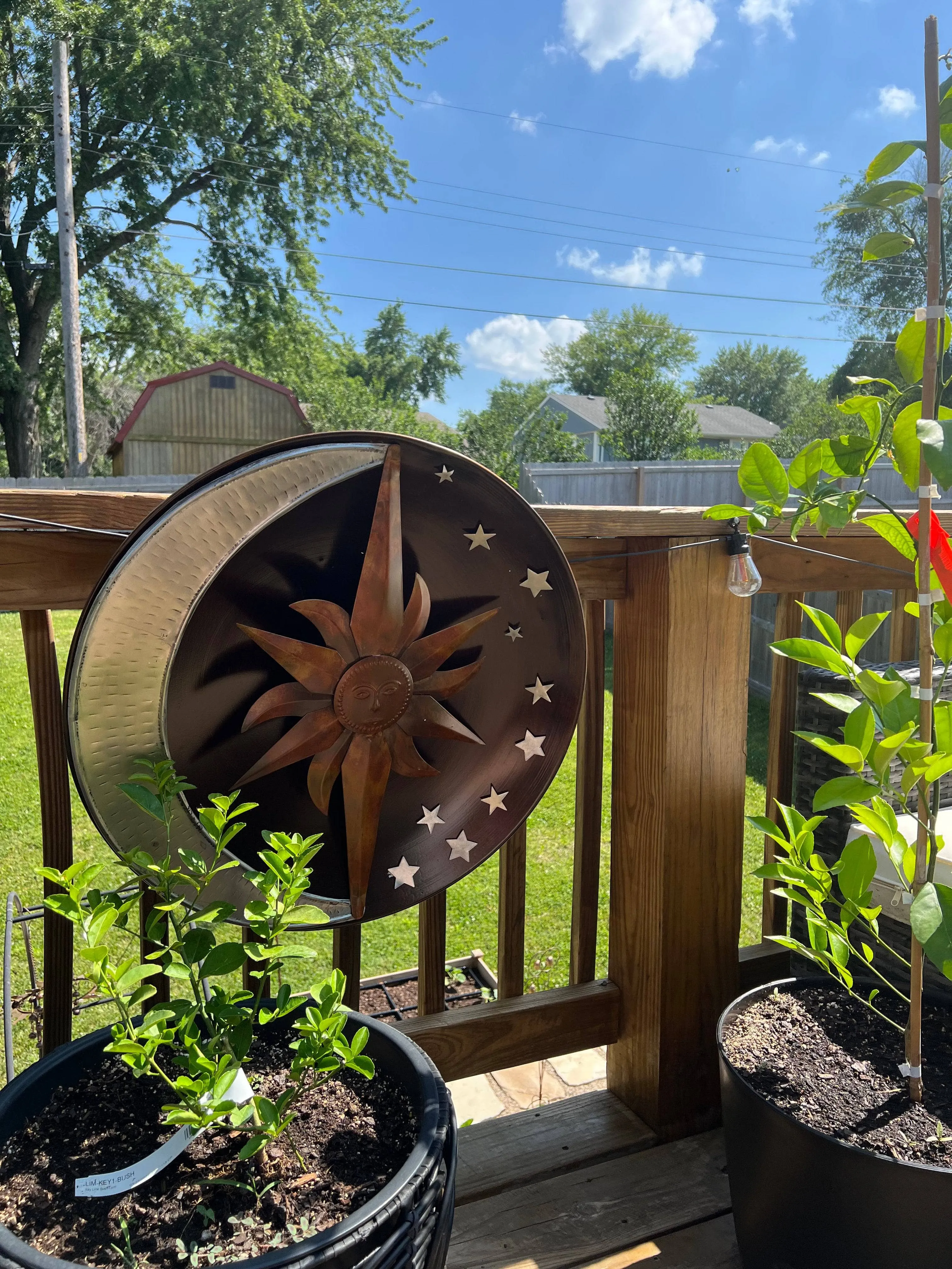 Raised Celestial Wall Decor Disc