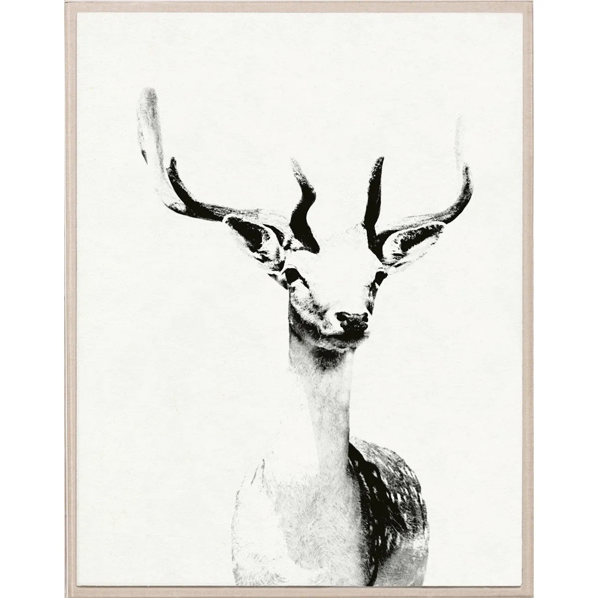 Tylinek Deer Framed Artwork